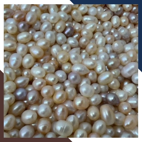 Ngọc trai thô chưa khoan lỗ loại đẹp làm trang sức mã AC4900, bán Sỉ toàn quốc