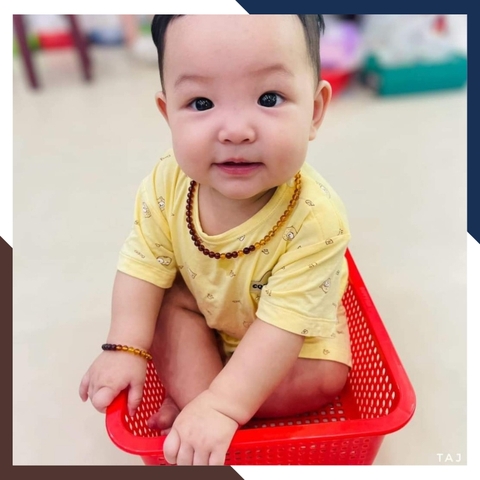 Set vòng cổ, vòng tay hổ phách cho bé mã AC260