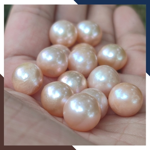 Viên ngọc trai nước ngọt tự nhiên 11mm - 12mm màu hồng. Tuyển sỉ toàn quốc