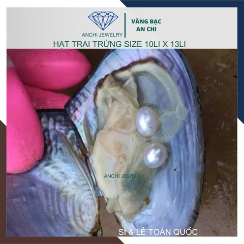 Viên ngọc trai trứng 5a nước ngọt hạt lẻ 10mm x 13mm màu trắng. Bỏ sỉ ngọc trai toàn quốc