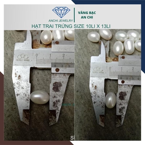 Viên ngọc trai trứng 5a nước ngọt hạt lẻ 10mm x 13mm màu trắng. Bỏ sỉ ngọc trai toàn quốc