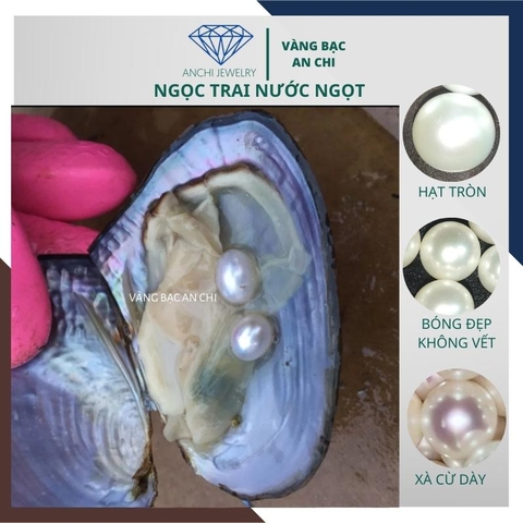 Viên ngọc trai nước ngọt tự nhiên 9ly - 10ly màu trắng. bỏ sỉ toàn quốc