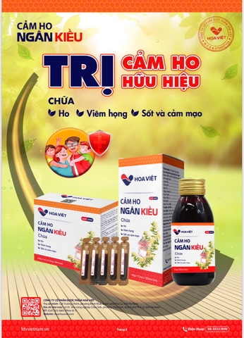 Sốt, cảm mạo, ho, viêm họng. thuốc cảm ho ngân kiều Hoa Việt