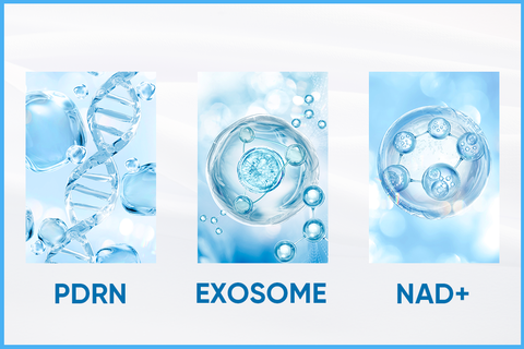 NAD+ vs PDRN vs Exosome: Which Regenerative Skin Booster Technology Is Right for Your Skin?