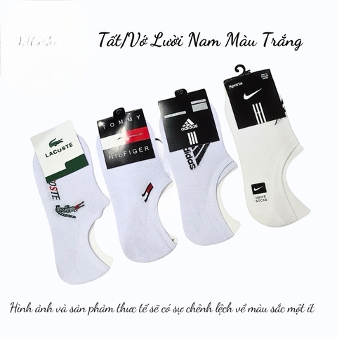 15.3 Tất/Vớ Lười Nam