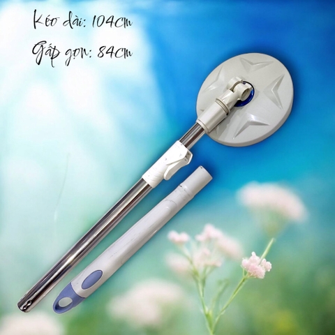 Cây lau nhà (không bông lau)