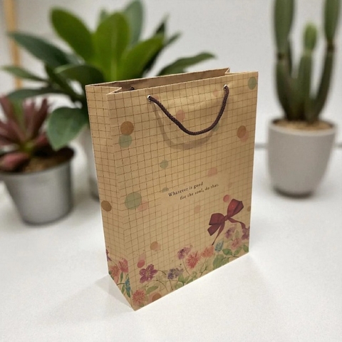 Túi giấy đựng quà Kraft K8-31 (30x40x12cm)