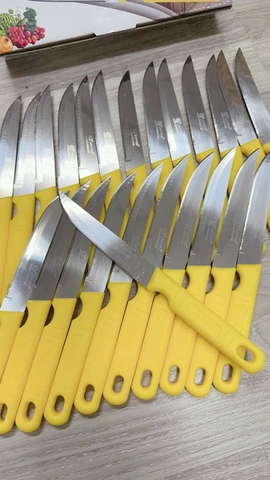 TB. Dao thái cán vàng nhọn Kiwi 511