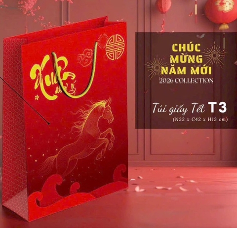 Túi giấy đựng quà cao cấp 32x42x13cm