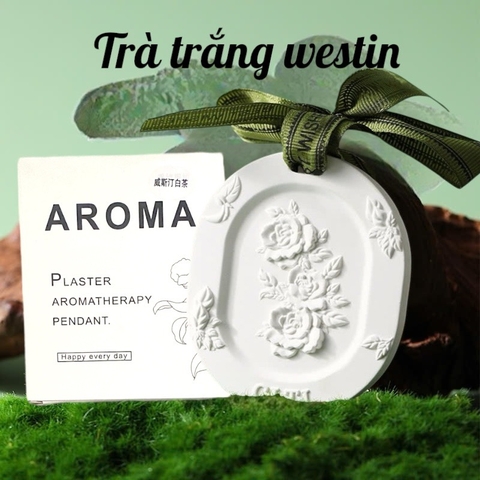 16.5 Sáp thơm dạng thạch cao treo tủ, xe hình hoa AROMA