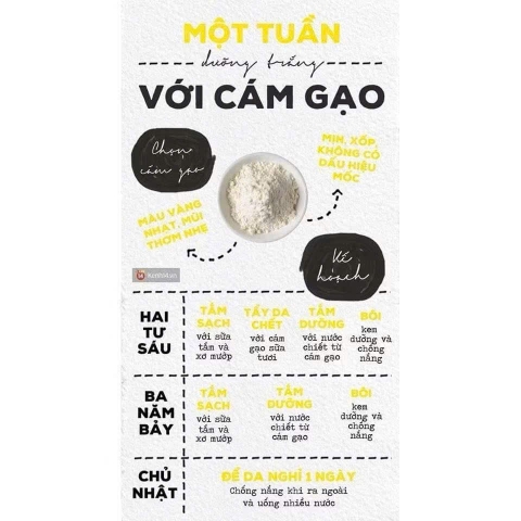 Bột cám gạo