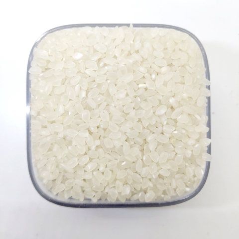 Gạo Trắng Hạt Tròn (Japonica, Sushi, Calrose, Camolino)