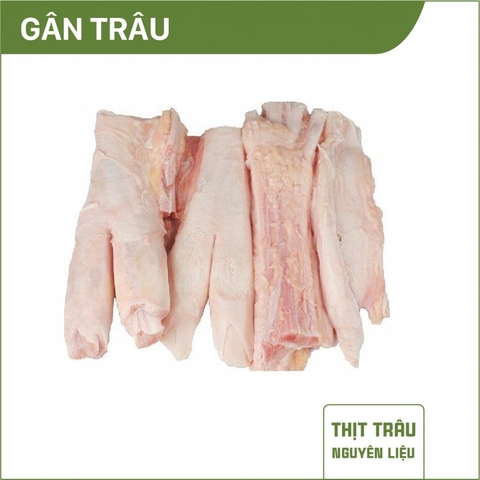 Gân trâu NL