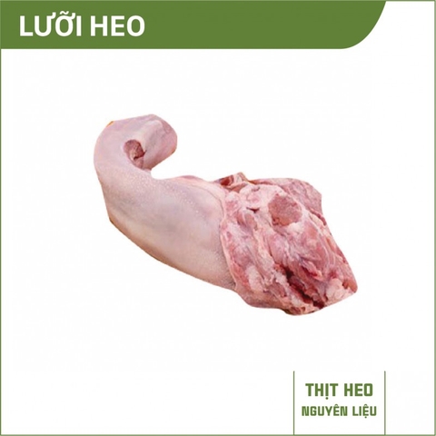 Lưỡi heo NL