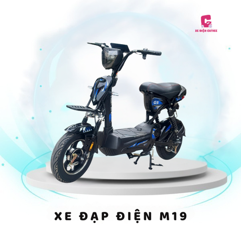 Xe Đạp Điện M19