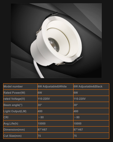 Downlight Adjustable (Downlight chiếu sâu chỉnh góc)