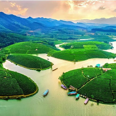 Sunpo Kim Toàn | Đội DVKT