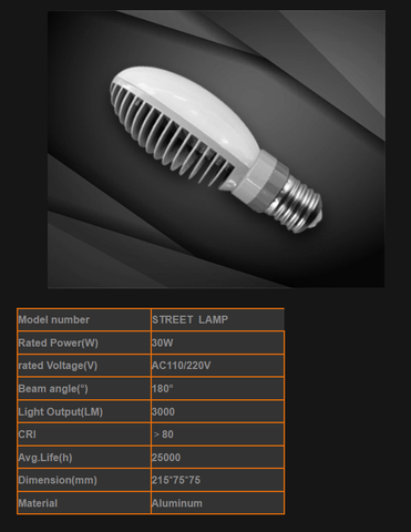 Streetlight LED 30W (Đèn đường LED 30W)