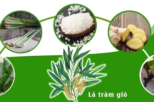 Xông hơi giải cảm và những điều bạn cần biết