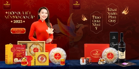 BỘ SƯU TẬP QUÀ TẾT CUNG ĐÌNH XUÂN ẤT TỴ 2025