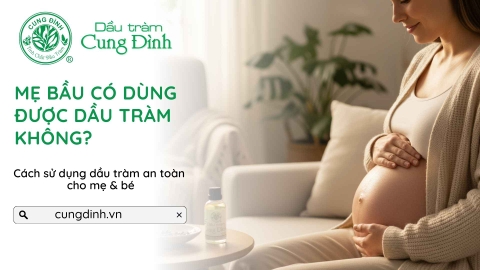 Dầu tràm cho bà bầu có an toàn không? Cách dùng đúng để bảo vệ mẹ & bé