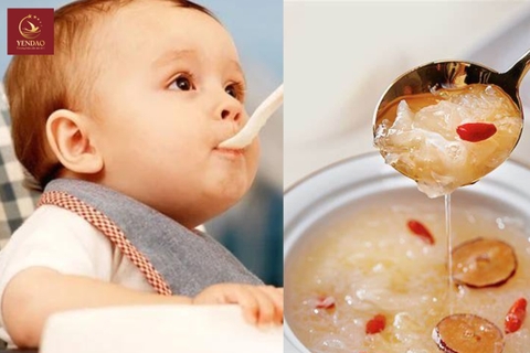 Những lợi ích của Yến chưng với trẻ, mẹ đã biết chưa? 