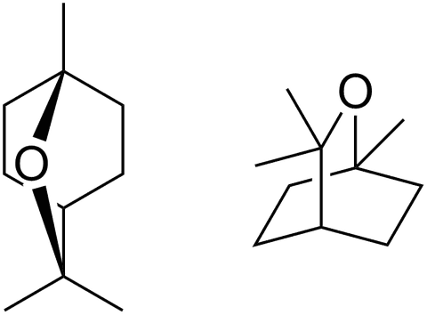 Công dụng của hoạt chất Alpha - Terpineo và Cineol có trong Dầu Tràm