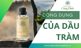 Công dụng của Dầu tràm