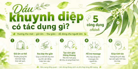 Dầu khuynh diệp có tác dụng gì? 5 công dụng chính