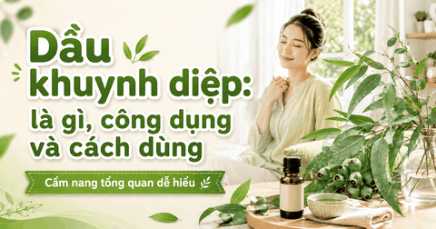 Dầu khuynh diệp: là gì, công dụng và cách dùng