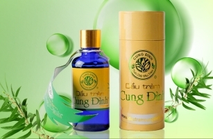 Tại sao dầu tràm Cung Đình luôn là sự lựa chọn hàng đầu cho sức khỏe