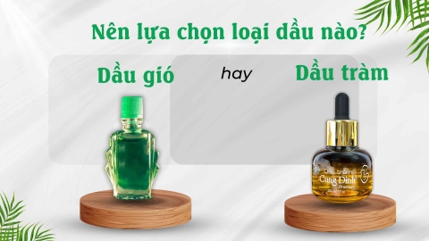 Dầu tràm vs dầu gió: Khác nhau ở điểm nào? Nên dùng gì?
