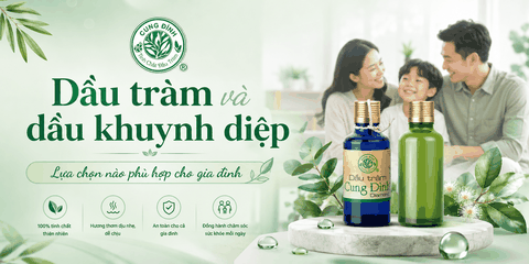 Dầu tràm vs Dầu khuynh diệp: Lựa Chọn Nào Phù Hợp Với Gia Đình Bạn?
