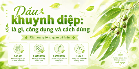 Dầu khuynh diệp: là gì, công dụng và cách dùng