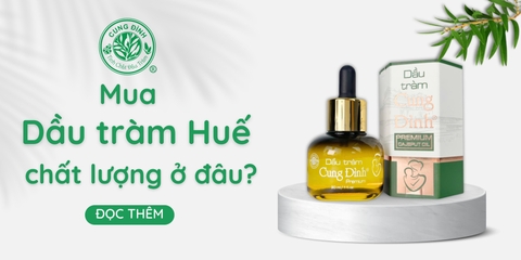 Mua dầu tràm ở đâu uy tín, chất lượng, giá tốt?