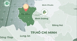 NÉT MỚI Ở DẦU TRÀM CUNG ĐÌNH