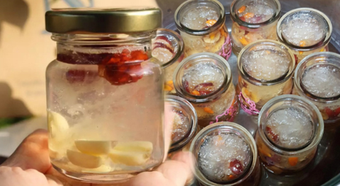 Hũ yến chưng tươi được thu hoạch như thế nào?