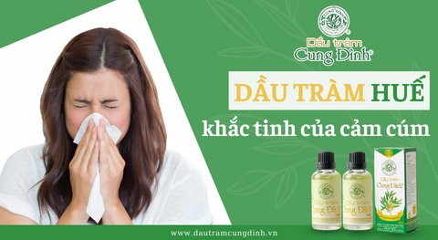 Dầu tràm Huế khắc tinh của cảm cúm
