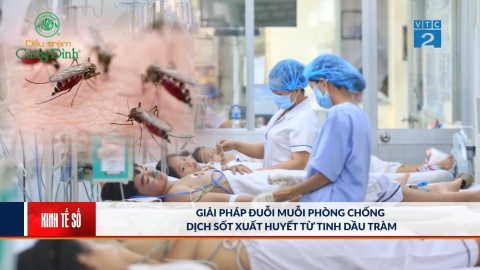 Phương pháp phòng chống sốt xuất huyết cho bé cùng Dầu tràm Cung Đình