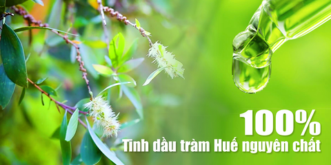 dau-tram-hue