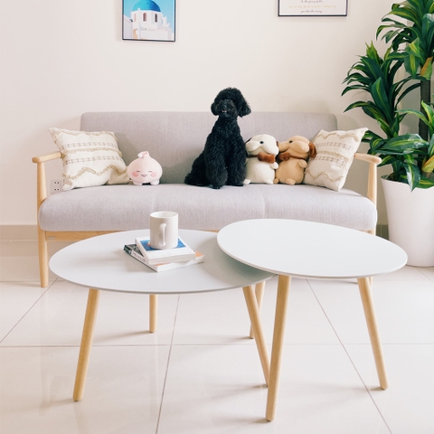 Bàn Sofa – Bàn Cafe – Bàn Trà Gỗ Cao Su Trắng