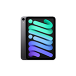 iPad mini