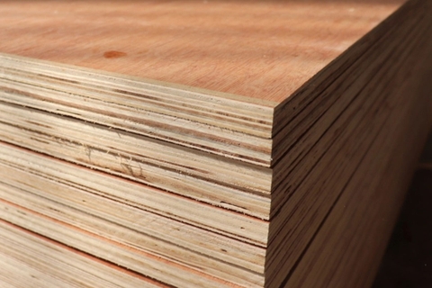 Gỗ Plywood Chịu Nước
