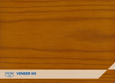 Mẫu Màu Veneer, Sơn PU