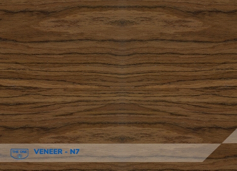 Mẫu Màu Veneer, Sơn PU