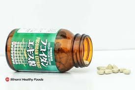 Minami Fucoidan Extract - Viên Uống Tảo Phòng Ngừa Ung Thư (240 Viên)