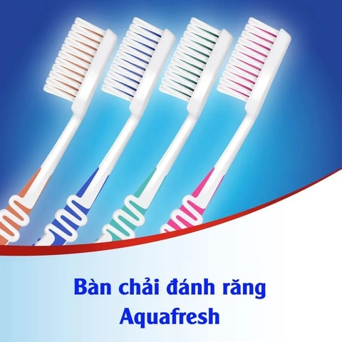 Japan - Bàn Chải Đánh Răng Người Lớn Aquafresh