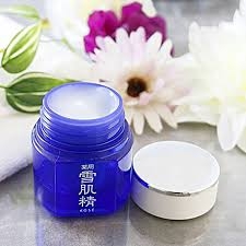 KOSE_Kem dưỡng da ban đêm KOSE Medicated Sekkisei 40g
