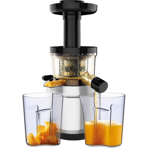 Máy ép chậm Tefal ZC420E38