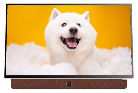 Google tivi xách tay Coocaa FHD 24 inch 24LP6000G